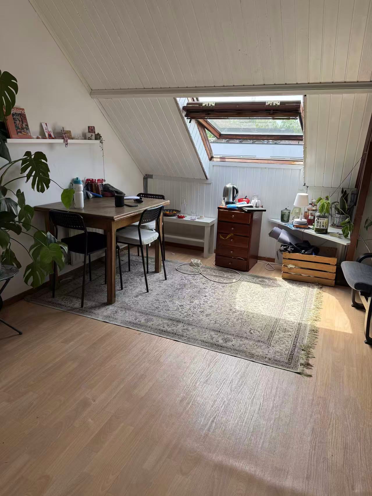 Havikstraat